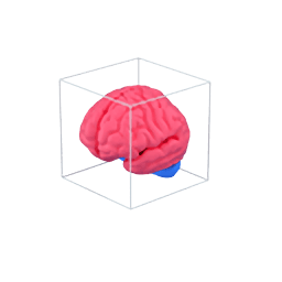 Brain 3d icon
